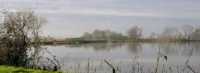 The Reservoir