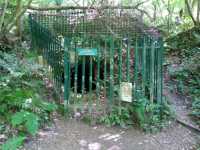 North West entrance to Greywell tunnel