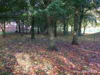 13 - West View - Stadt Moers (Country) Park