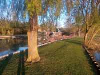 Calcutt bottom lock