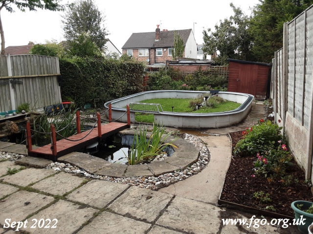 02 - Continuing Works In My Garden 2022