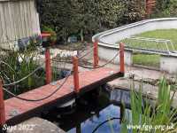 03 - Continuing Works In My Garden 2022