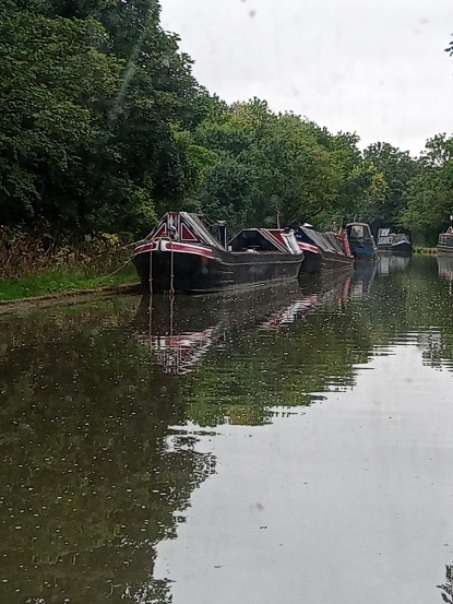 Weedon