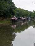 Weedon