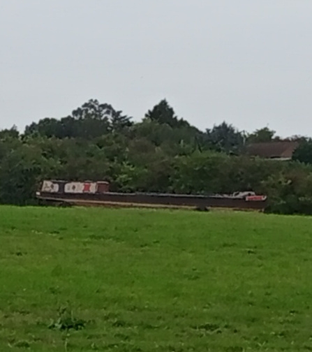Boat in field