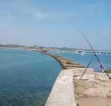No bridge