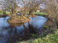 Duck pond