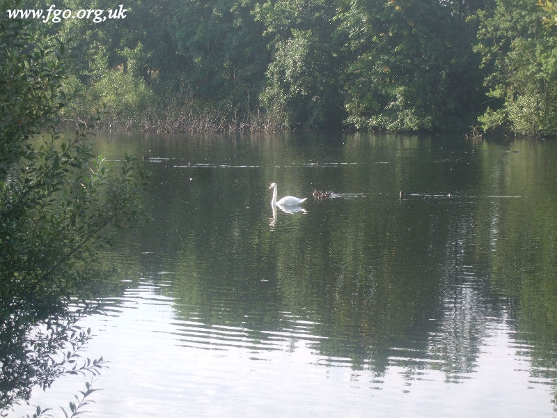 37 - Stadt Moers Country Park