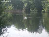 37 - Stadt Moers Country Park