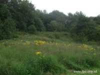 39 - Stadt Moers Country Park