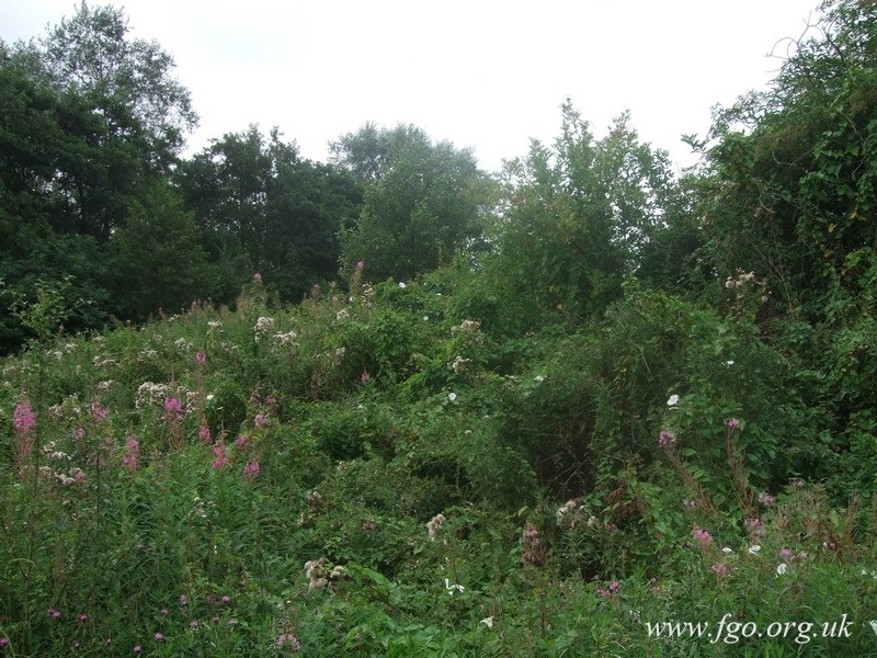 40 - Stadt Moers Country Park
