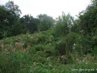 40 - Stadt Moers Country Park