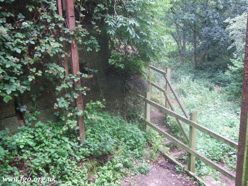 11 -  Cronton Pex Hill Quarry