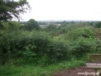 13 - Cronton Pex Hill