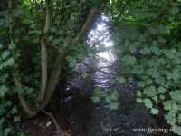 07 -Ochre Brook