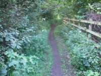 08 - Ox Lane.