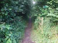 09 - Ox Lane