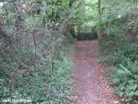 36 - Rainhill Dukes Clough