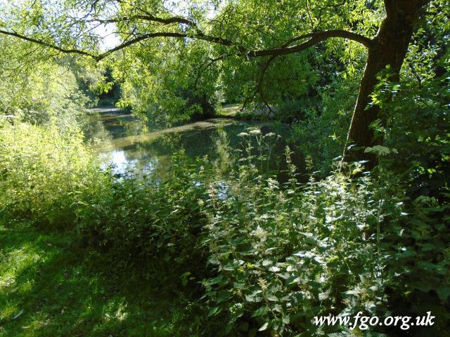 61 - Carr Lane Woods -Prescot