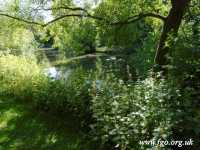 61 - Carr Lane Woods -Prescot