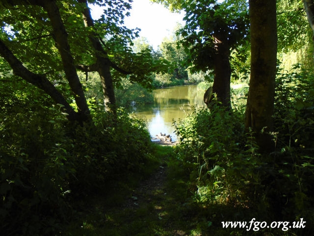 62 - Carr Lane Woods -Prescot