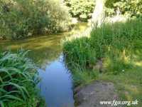 64 - Carr Lane Woods -Prescot