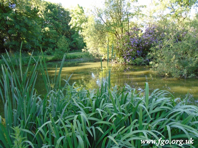 65 - Carr Lane Woods -Prescot