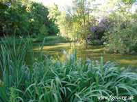 65 - Carr Lane Woods -Prescot