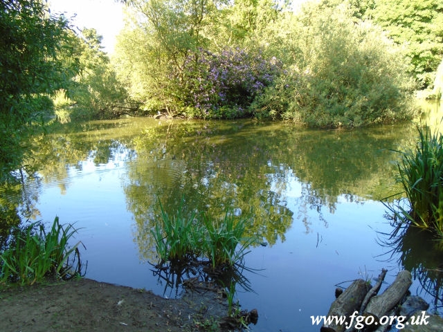 66 - Carr Lane Woods -Prescot