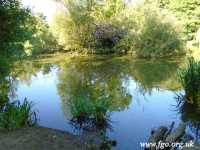66 - Carr Lane Woods -Prescot