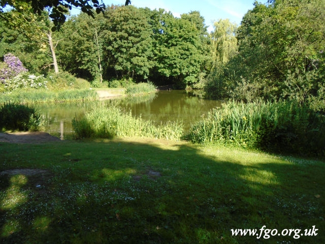 67 - Carr Lane Woods -Prescot