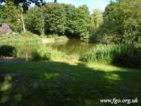67 - Carr Lane Woods -Prescot