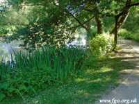 68 - Carr Lane Woods -Prescot