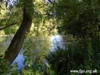 69 - Carr Lane Woods -Prescot