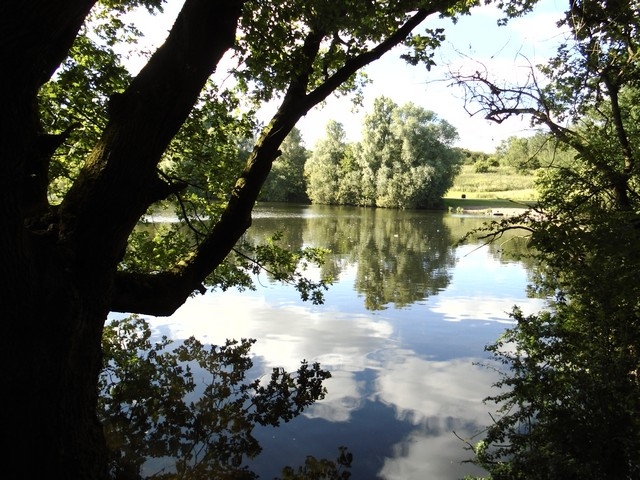 01 - Tushingham's Pond