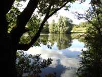 01 - Tushingham's Pond