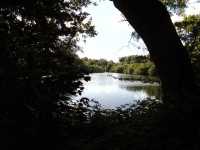 03 - Tushingham's Pond