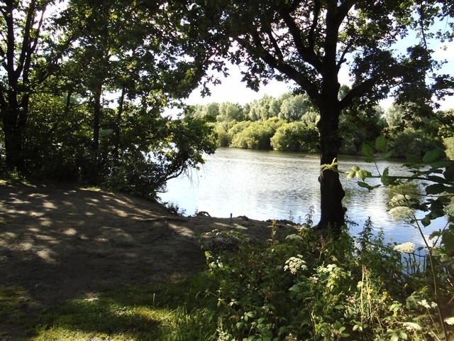 04 - Tushingham's Pond