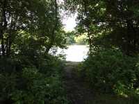 05 - Tushingham's Pond