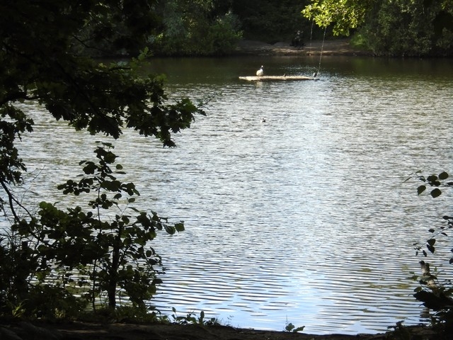 06 - Tushingham's Pond