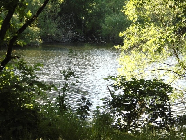 07 - Tushingham's Pond