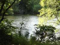 07 - Tushingham's Pond