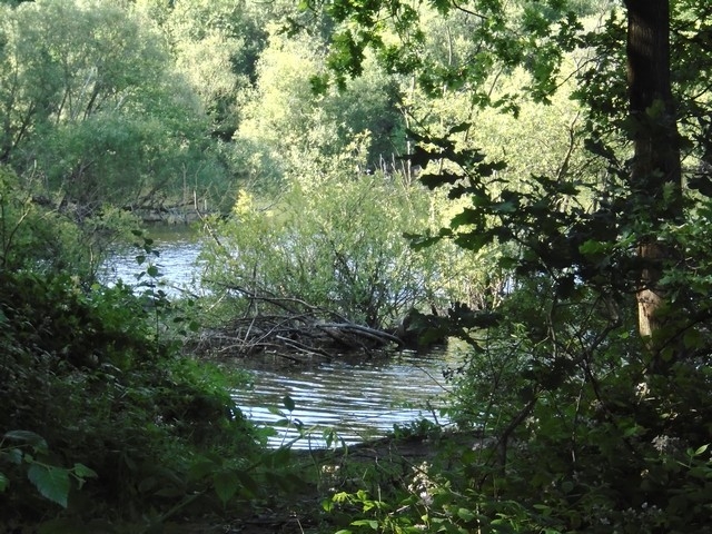 08 - Tushingham's Pond