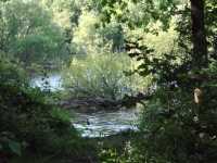 08 - Tushingham's Pond