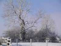 Winter12
