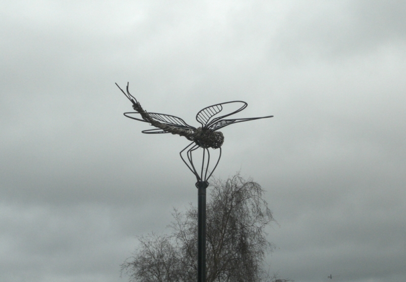 Dragon fly