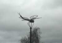 Dragon fly