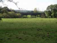Bridge 02 - posted by Leapy