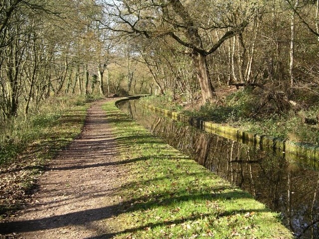 Caldon 06 - posted by Leapy