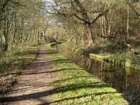 Caldon 06 - posted by Leapy